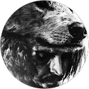 Dillan Moss profile picture